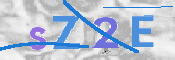 画像に表示された文字を入力して下さい
