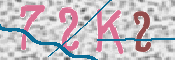 画像に表示された文字を入力して下さい