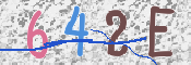 画像に表示された文字を入力して下さい
