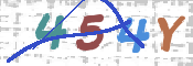画像に表示された文字を入力して下さい