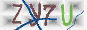画像に表示された文字を入力して下さい