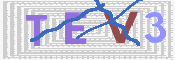 画像に表示された文字を入力して下さい