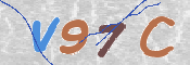 画像に表示された文字を入力して下さい