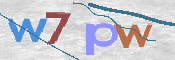 画像に表示された文字を入力して下さい