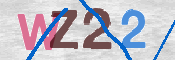 画像に表示された文字を入力して下さい