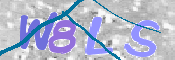 画像に表示された文字を入力して下さい