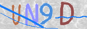 画像に表示された文字を入力して下さい