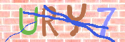 画像に表示された文字を入力して下さい