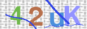 画像に表示された文字を入力して下さい