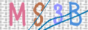 画像に表示された文字を入力して下さい