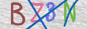 画像に表示された文字を入力して下さい