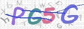 画像に表示された文字を入力して下さい
