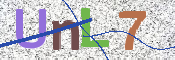 画像に表示された文字を入力して下さい