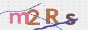 画像に表示された文字を入力して下さい