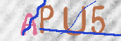 画像に表示された文字を入力して下さい