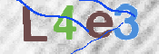 画像に表示された文字を入力して下さい