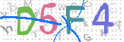 画像に表示された文字を入力して下さい