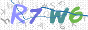 画像に表示された文字を入力して下さい