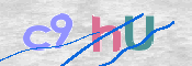 画像に表示された文字を入力して下さい