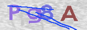 画像に表示された文字を入力して下さい
