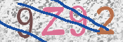 画像に表示された文字を入力して下さい