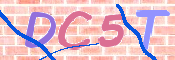 画像に表示された文字を入力して下さい