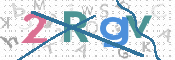 画像に表示された文字を入力して下さい