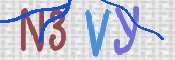 画像に表示された文字を入力して下さい