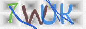 画像に表示された文字を入力して下さい