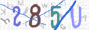 画像に表示された文字を入力して下さい