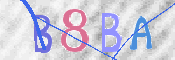画像に表示された文字を入力して下さい