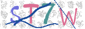 画像に表示された文字を入力して下さい