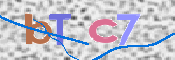 画像に表示された文字を入力して下さい