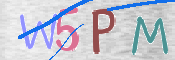 画像に表示された文字を入力して下さい