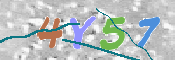 画像に表示された文字を入力して下さい