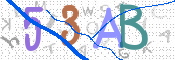 画像に表示された文字を入力して下さい