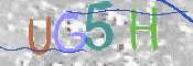 画像に表示された文字を入力して下さい