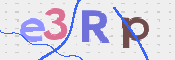 画像に表示された文字を入力して下さい