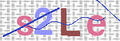 画像に表示された文字を入力して下さい