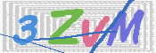 画像に表示された文字を入力して下さい