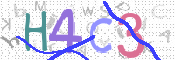 画像に表示された文字を入力して下さい
