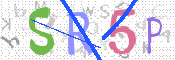 画像に表示された文字を入力して下さい