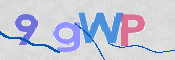 画像に表示された文字を入力して下さい