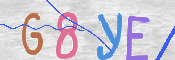 画像に表示された文字を入力して下さい