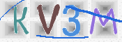 画像に表示された文字を入力して下さい
