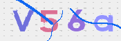 画像に表示された文字を入力して下さい
