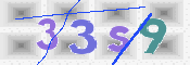 画像に表示された文字を入力して下さい