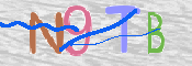 画像に表示された文字を入力して下さい