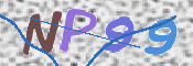 画像に表示された文字を入力して下さい