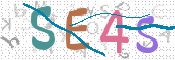 画像に表示された文字を入力して下さい